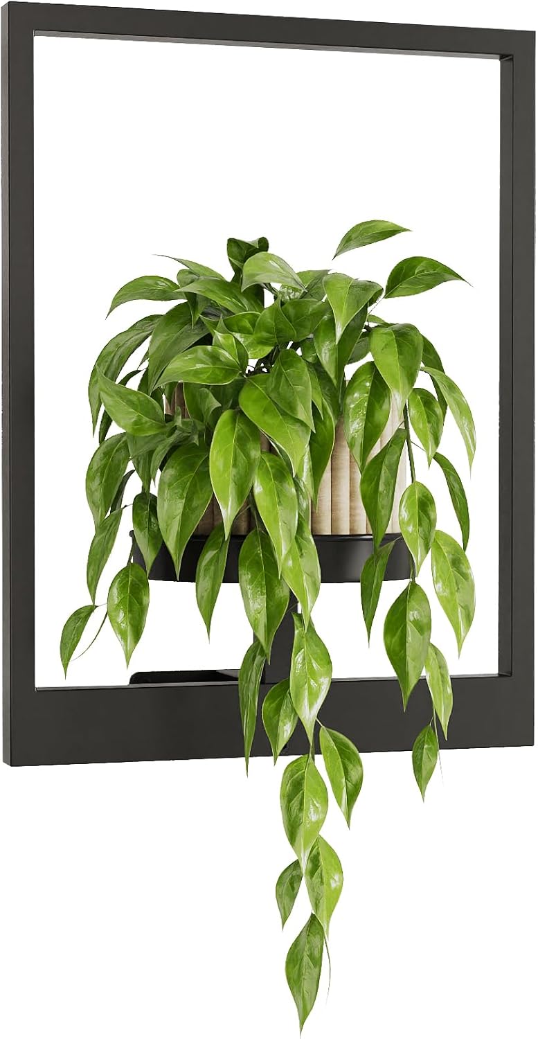 Bamworld Picture Frame Plant Stand Wall Hanging Planters for Indoor Plants Plant Hanger Outdoor Window Plant Shelves Plant Holder Black Metal Room Decor 1 Pack(Pot Not Included) - Image 1